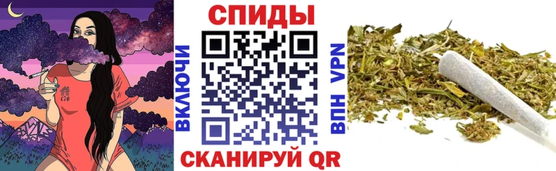 Купить где  Осинники  БУТИРАТ буратино 