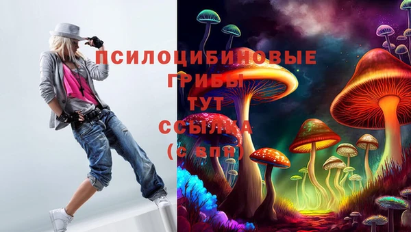 ПСИЛОЦИБИНОВЫЕ ГРИБЫ Богородицк