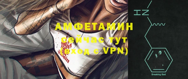 apvp Бородино