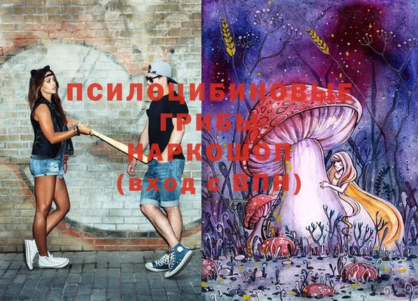 экстази Богородск