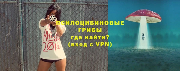экстази Богородск