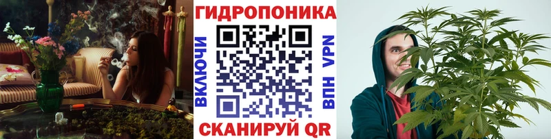 Купить где  Осинники  Бошки марихуана планчик 
